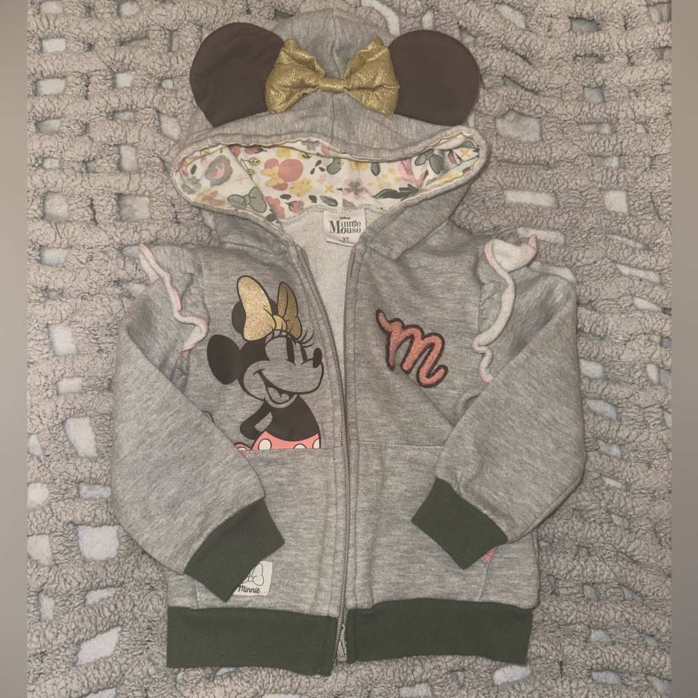 Disney Minnie Mouse Gray/Gold/Pink Hoodie for Kids Size 3T